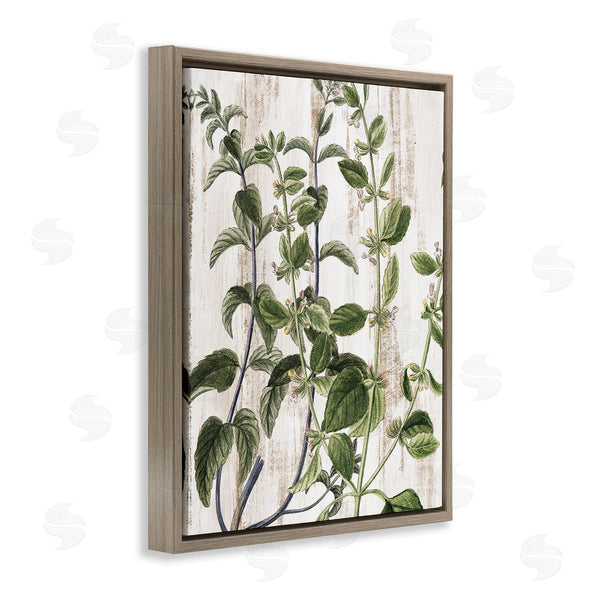 Stupell Industries Kim Allen | Rustic Botanical Vines