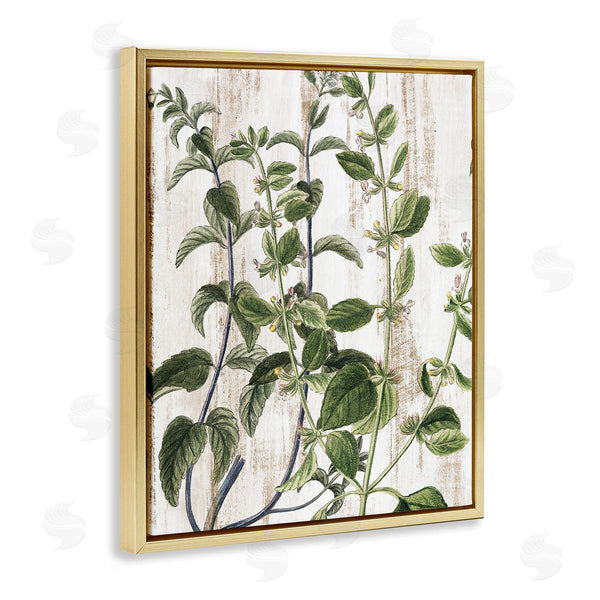 Stupell Industries Kim Allen | Rustic Botanical Vines