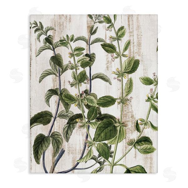 stupell industries Kim Allen | Rustic Botanical Vines