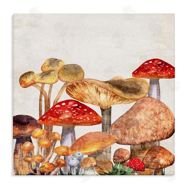 stupell industries Kim Allen | Rustic Woodland Mushrooms