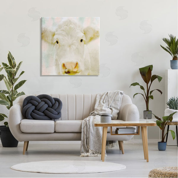 Stupell Industries Kim Allen | Soft White Cow Cattle Face Closeup Layered Background Wall Art