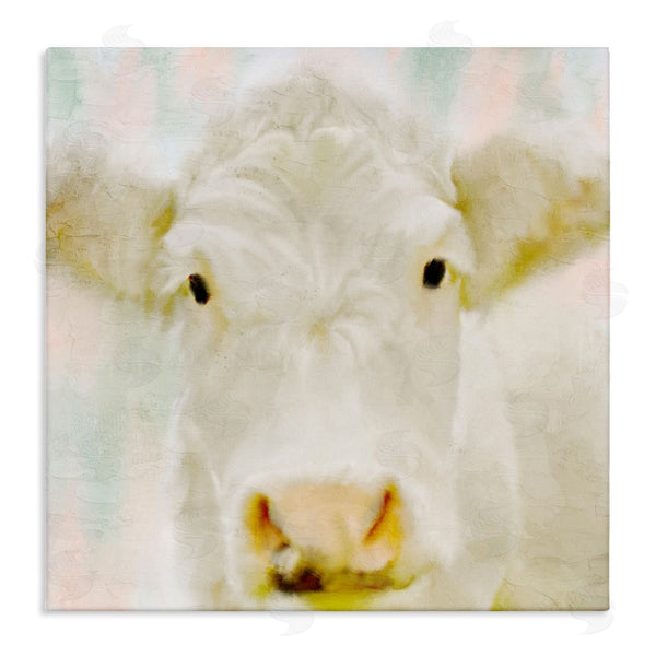 stupell industries Kim Allen | Soft White Cow Cattle Face Closeup Layered Background Wall Art