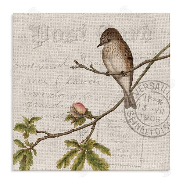 stupell industries Kim Allen | Song Bird Tree Branch Vintage Postal Card Pattern Wall Art