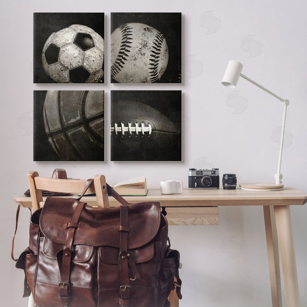Stupell Industries Kim Allen | Sports Balls Photography Wall Art