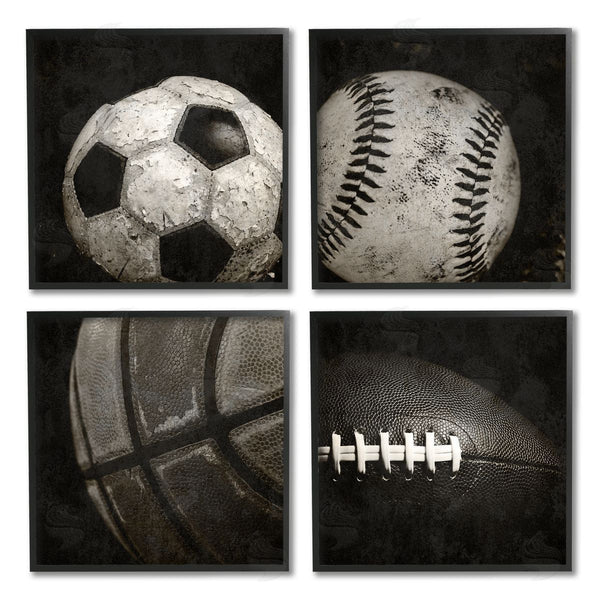 Stupell Industries Kim Allen | Sports Balls Photography Wall Art