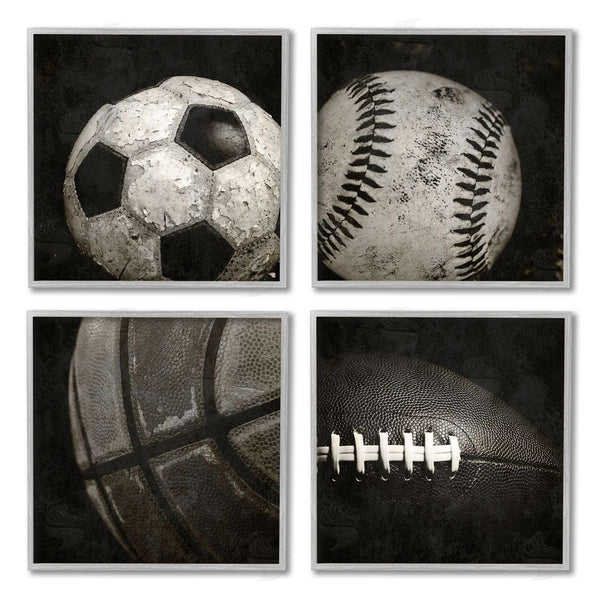 Stupell Industries Kim Allen | Sports Balls Photography Wall Art