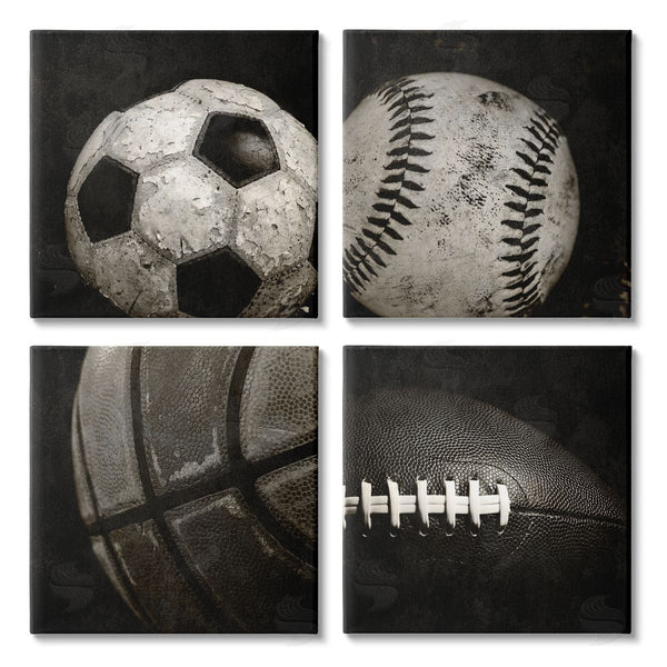 stupell industries Kim Allen | Sports Balls Photography Wall Art