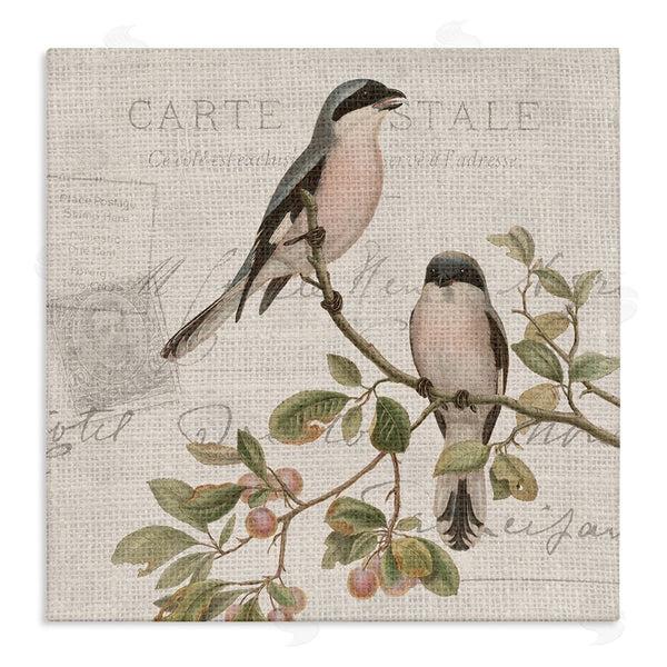 stupell industries Kim Allen | Summer Birds Tree Branch Antique European Postal Pattern Wall Art