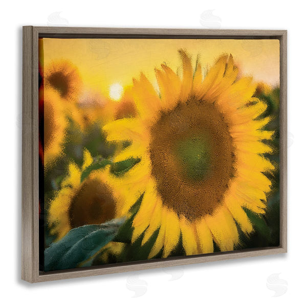 Stupell Industries Kim Allen | Sunflower Field Sunrise Realistic Soft Edges Wall Art