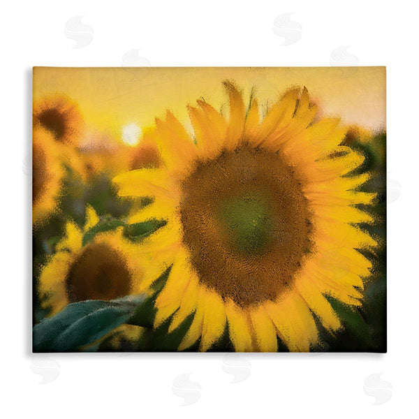 stupell industries Kim Allen | Sunflower Field Sunrise Realistic Soft Edges Wall Art