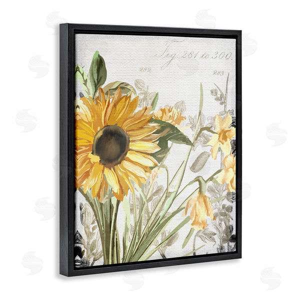 Stupell Industries Kim Allen | Sunflower Floral Over Vintage Plant