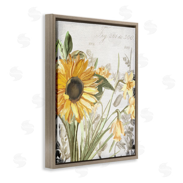 Stupell Industries Kim Allen | Sunflower Floral Over Vintage Plant