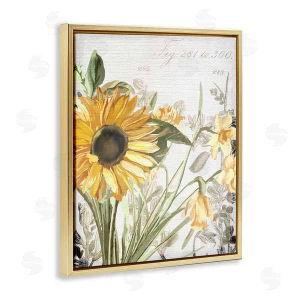 Stupell Industries Kim Allen | Sunflower Floral Over Vintage Plant