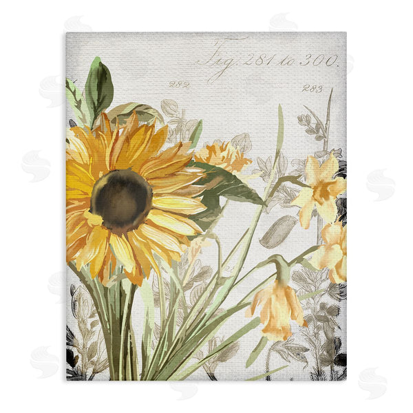 stupell industries Kim Allen | Sunflower Floral over Vintage Plant