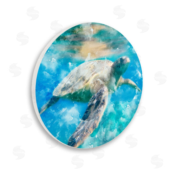 stupell industries Kim Allen | Swimming Sea Turtle Aquatic Reptile Design Wall Art
