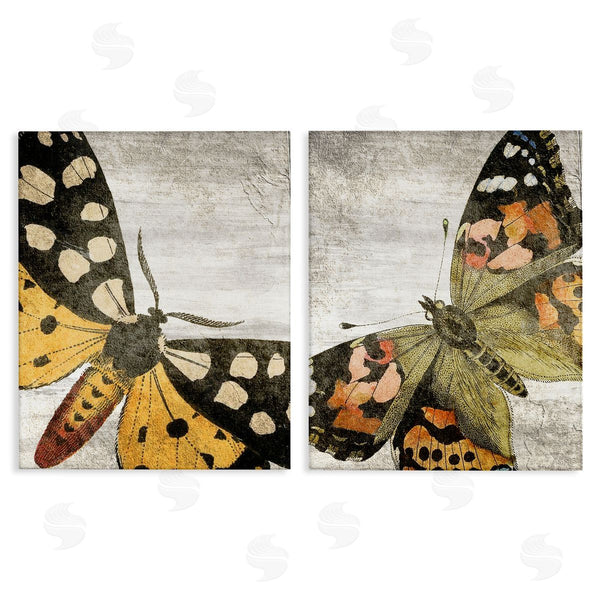 stupell industries Kim Allen | Vintage Spotted butterflies Wall Art