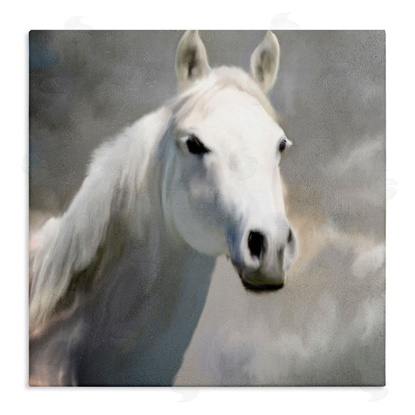 stupell industries Kim Allen | White Horse Portrait Painting
