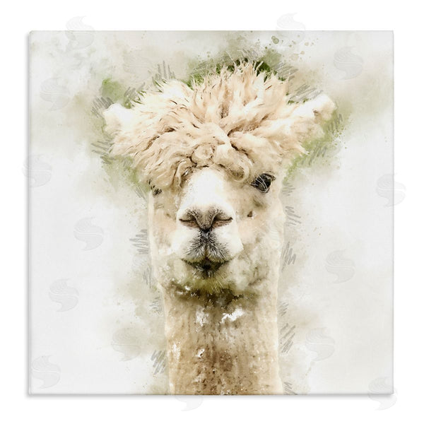 stupell industries Kim Curinga | Alpaca Portrait Abstract Animal Wall Art