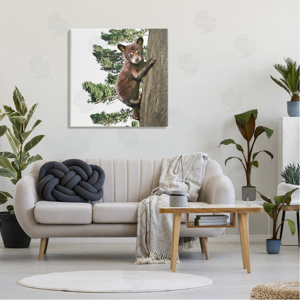 Stupell Industries Kim Curinga | Bear Cub Climbing Tree Nature Wall Art
