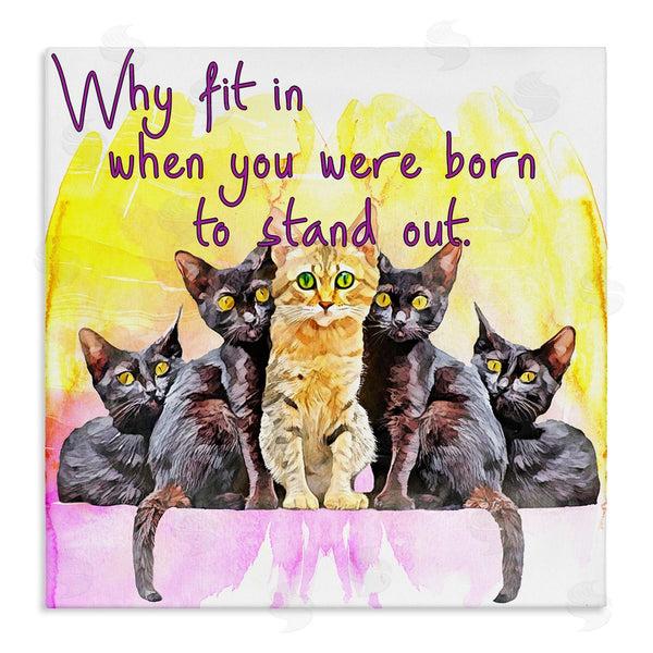 stupell industries Kim Curinga | Born To Stand Out Cats Pet Phrase Wall Art
