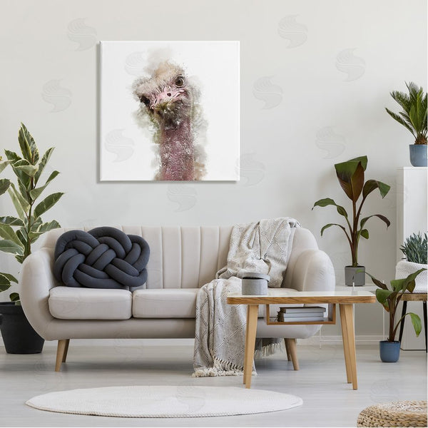 Stupell Industries Kim Curinga | Curious Ostrich Face Portrait Wall Art