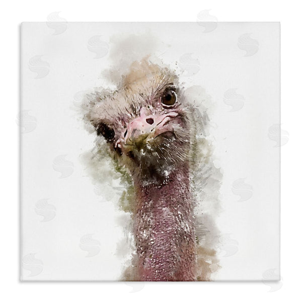 stupell industries Kim Curinga | Curious Ostrich Face Portrait Wall Art