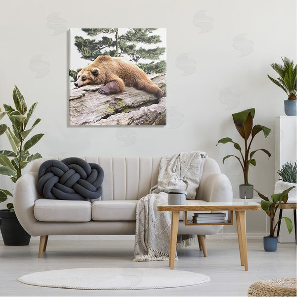 Stupell Industries Kim Curinga | Sleeping Brown Bear Wildlife Wall Art
