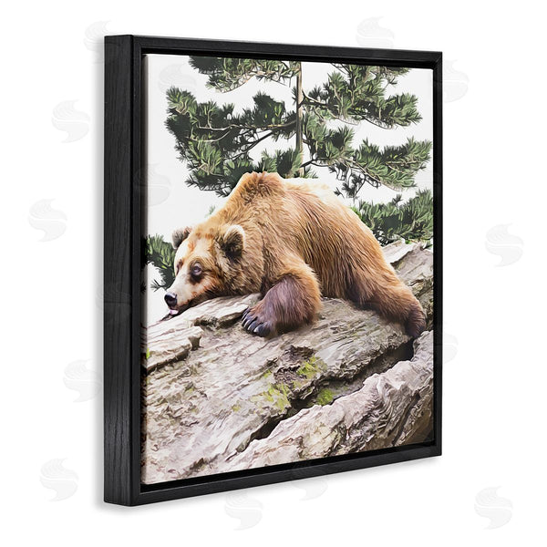 Stupell Industries Kim Curinga | Sleeping Brown Bear Wildlife Wall Art