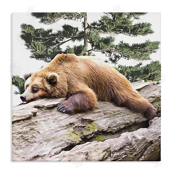 stupell industries Kim Curinga | Sleeping Brown Bear Wildlife Wall Art