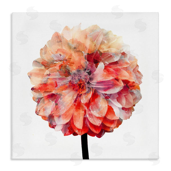stupell industries Kimberly Allen | Bright Coral Watercolor Bloom