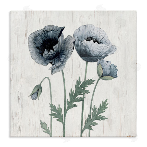 stupell industries Kourtni Gunn | Spring Poppy Blossoms Budding Flowers Rustic Design Wall Art