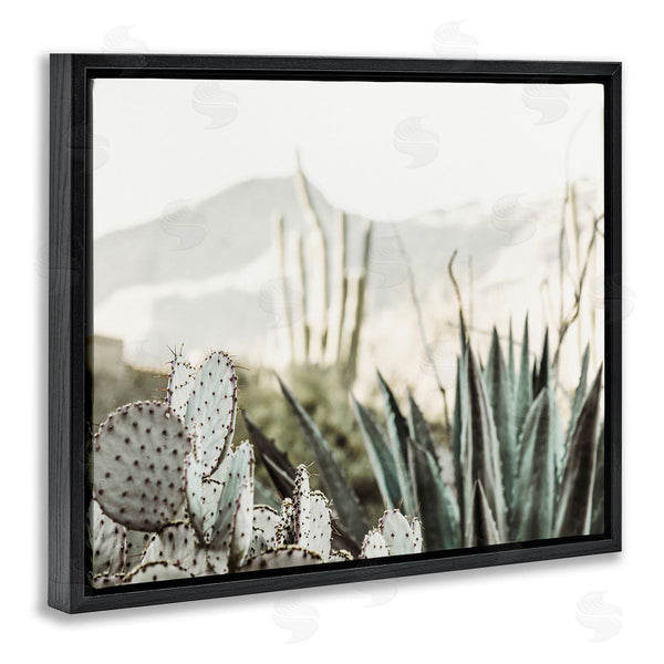 Stupell Industries Krista Broadway | Desert Cacti Photography