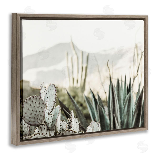 Stupell Industries Krista Broadway | Desert Cacti Photography