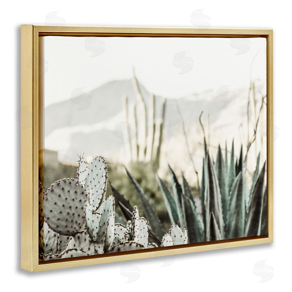 Stupell Industries Krista Broadway | Desert Cacti Photography