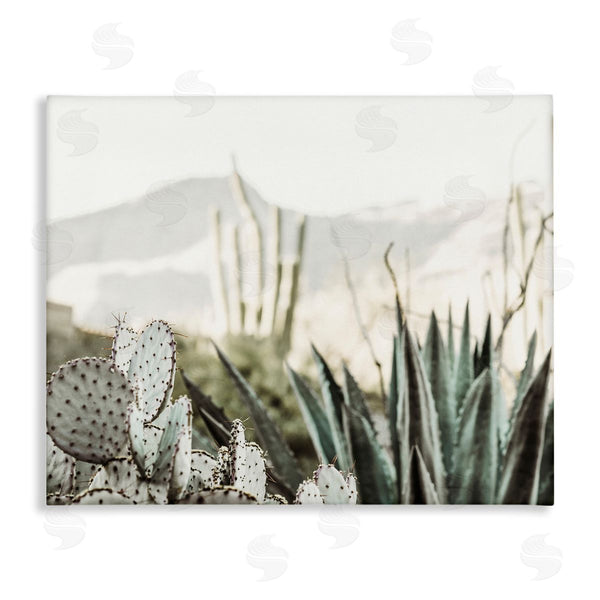 stupell industries Krista Broadway | Desert Cacti Photography