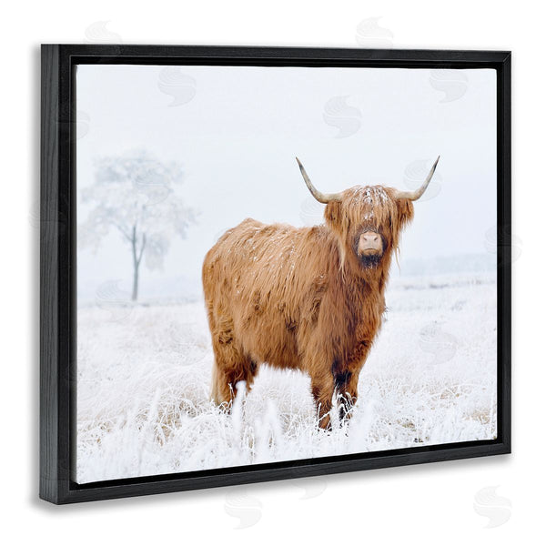 Stupell Industries Krista Broadway | Highland Cow In Snow Wall Art