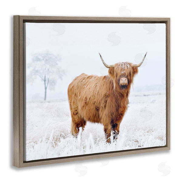 Stupell Industries Krista Broadway | Highland Cow In Snow Wall Art