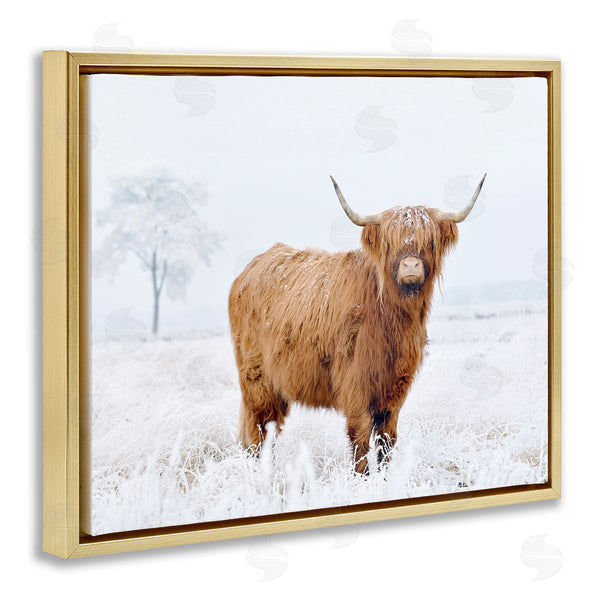 Stupell Industries Krista Broadway | Highland Cow In Snow Wall Art