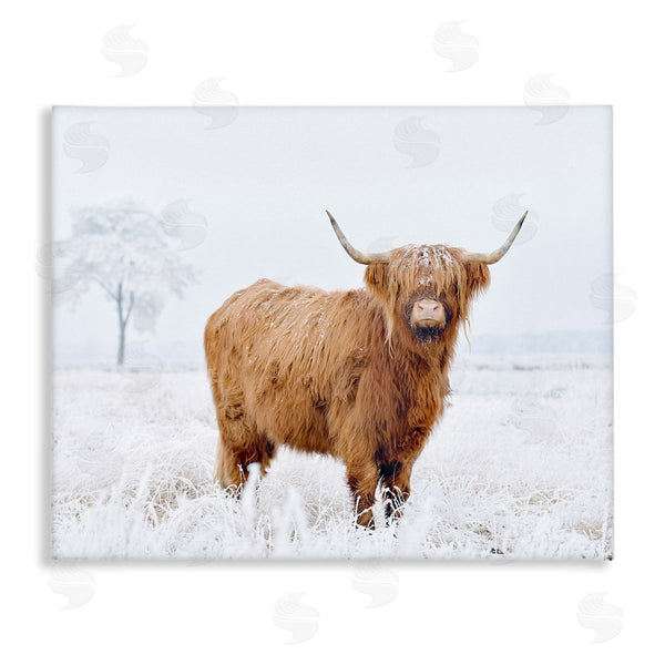 stupell industries Krista Broadway | Highland Cow in Snow Wall Art