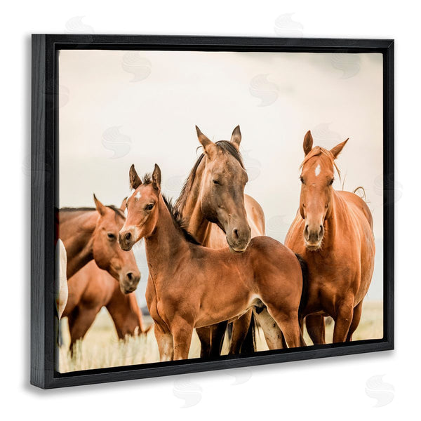 Stupell Industries Krista Broadway | Horse & Foals Photography