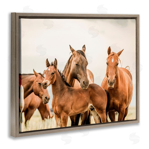 Stupell Industries Krista Broadway | Horse & Foals Photography