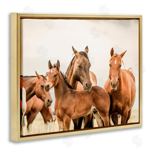 Stupell Industries Krista Broadway | Horse & Foals Photography