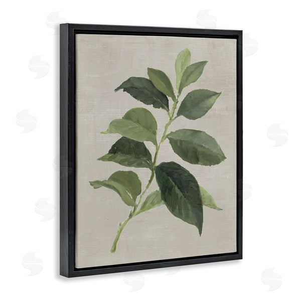 Stupell Industries Lanie Loreth | Arabica Coffee Plant Leaf