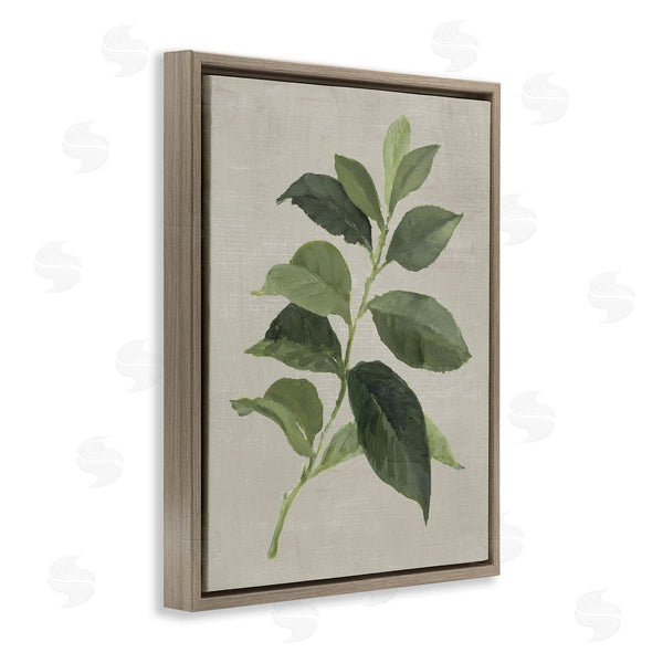 Stupell Industries Lanie Loreth | Arabica Coffee Plant Leaf