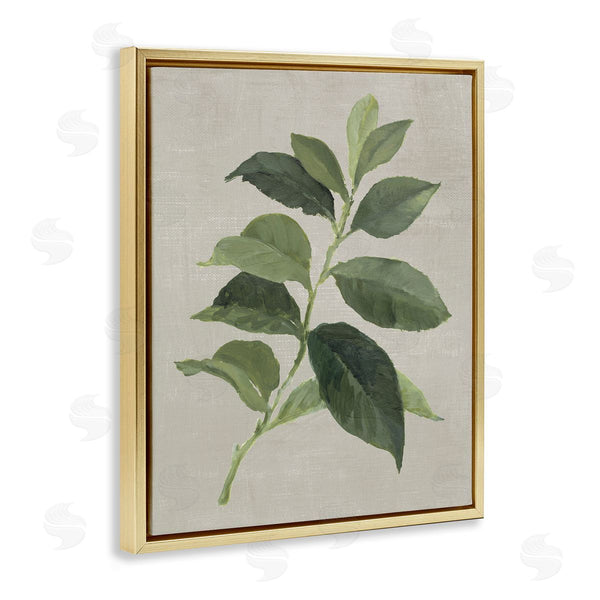 Stupell Industries Lanie Loreth | Arabica Coffee Plant Leaf