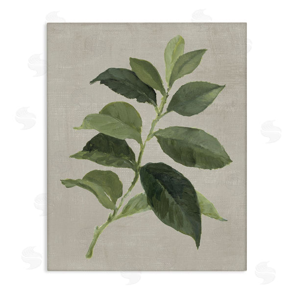 stupell industries Lanie Loreth | Arabica Coffee Plant Leaf