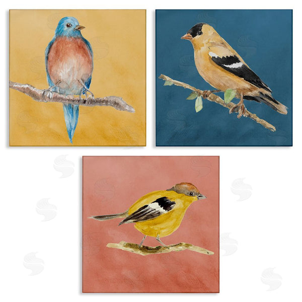 stupell industries Lanie Loreth | Brilliant Birds on Branches Wall Art