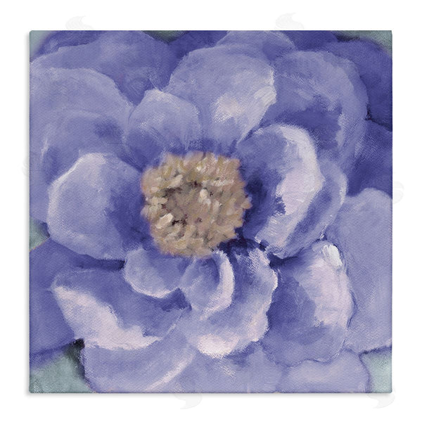 stupell industries Lanie Loreth | Closeup Purple Anemone Flower Blossom Illustration Wall Art