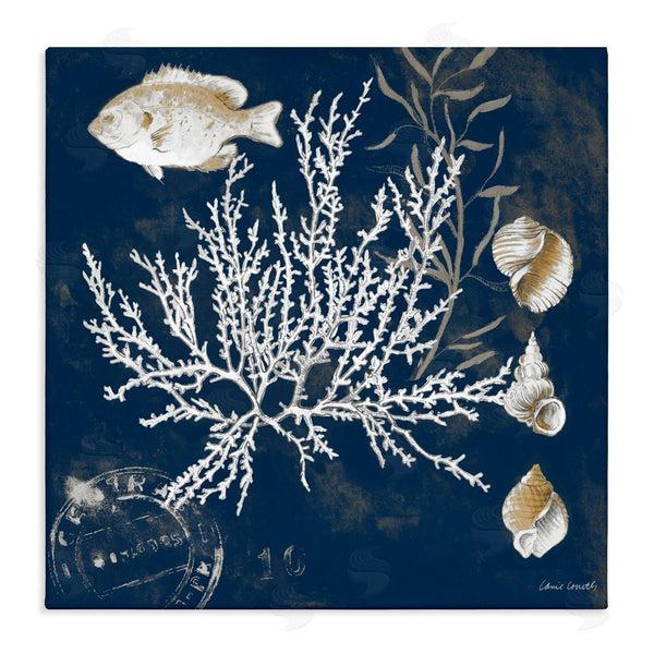 stupell industries Lanie Loreth | Coral Medley on Blue Wall Art