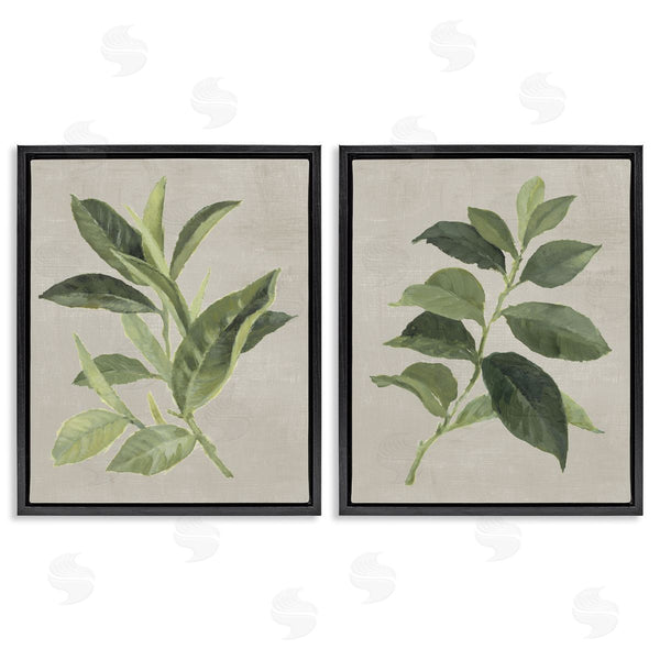 Stupell Industries Lanie Loreth | Green Tea & Coffee Plant Leaves